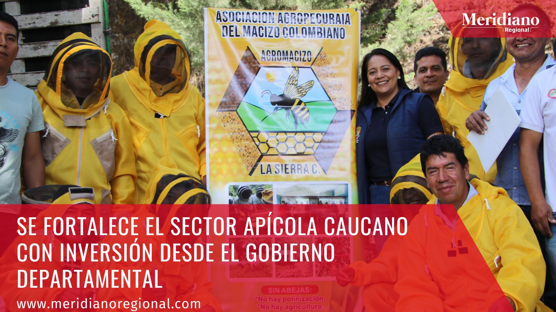 meridiano regional - Se fortalece el sector apícola caucano con inversión desde el Gobierno Departamental - Gobernación del Cauca - Alianzas para Avanzar - AGROMACIZO (3)