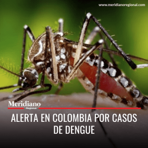 meridiano regional - noticias colombia - noticias salud colombia - Alerta en Colombia por casos de dengue - sintomas dengue