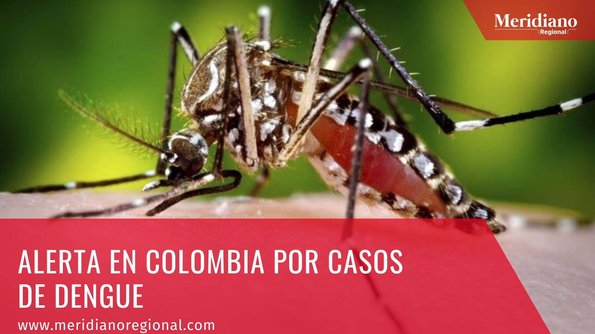 meridiano regional - noticias colombia - noticias salud colombia - Alerta en Colombia por casos de dengue - sintomas dengue