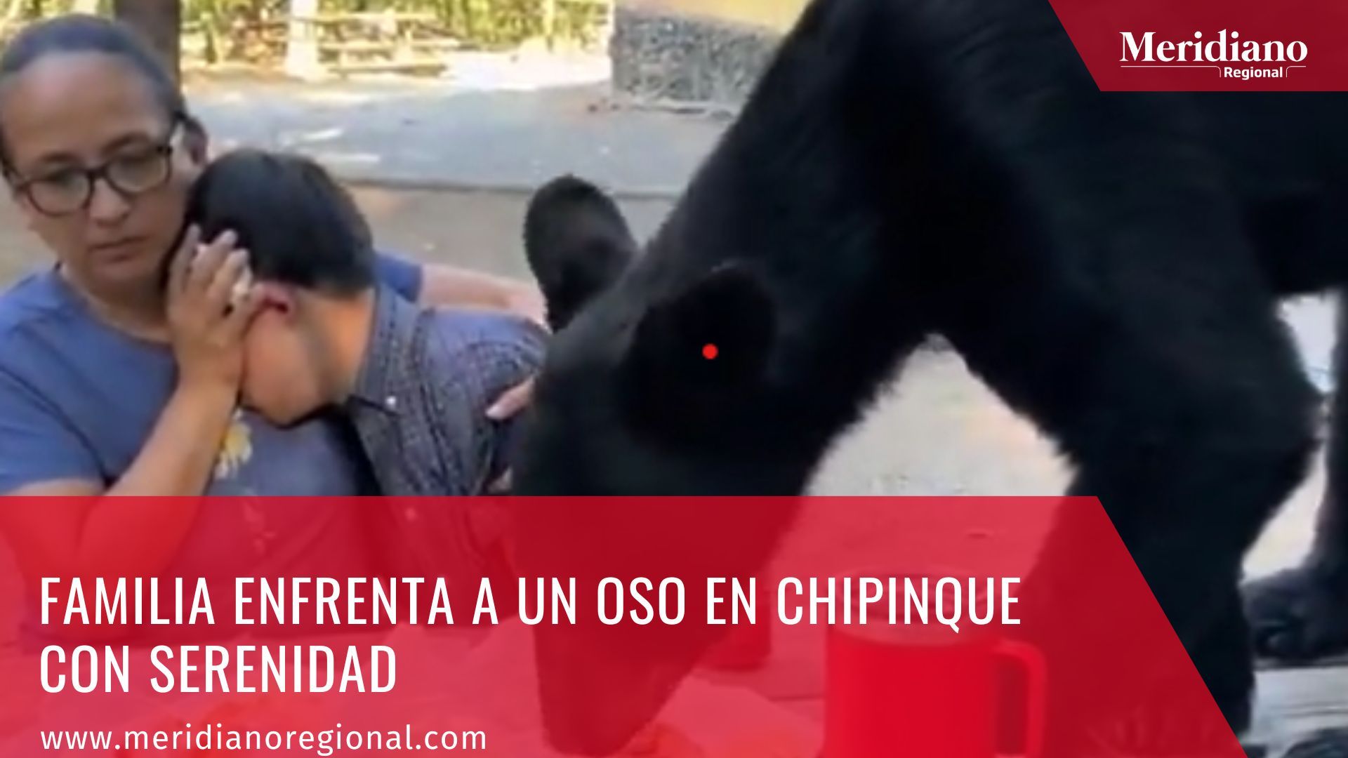 Familia enfrenta a un oso en Chipinque con serenidad -videos virales - videos de un oso comiendo - videos oso en parque con familia