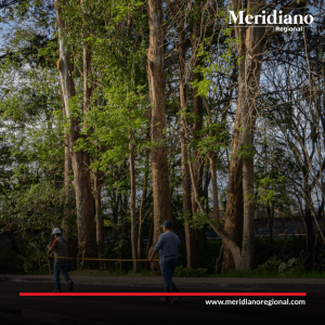Inició tercera fase de mejoramiento de la malla vial en Popayán - meridiano regional - alcaldía Popayán - Juan Carlos López -alcalde Popayán 2023 (4) - Meridiano Regional Inicio-tercera-fase-de-mejoramiento-de-la-malla-vial-en-Popayan-meridiano-regional-alcaldia-Popayan-Juan-Carlos-Lopez-alcalde-Popayan-2023