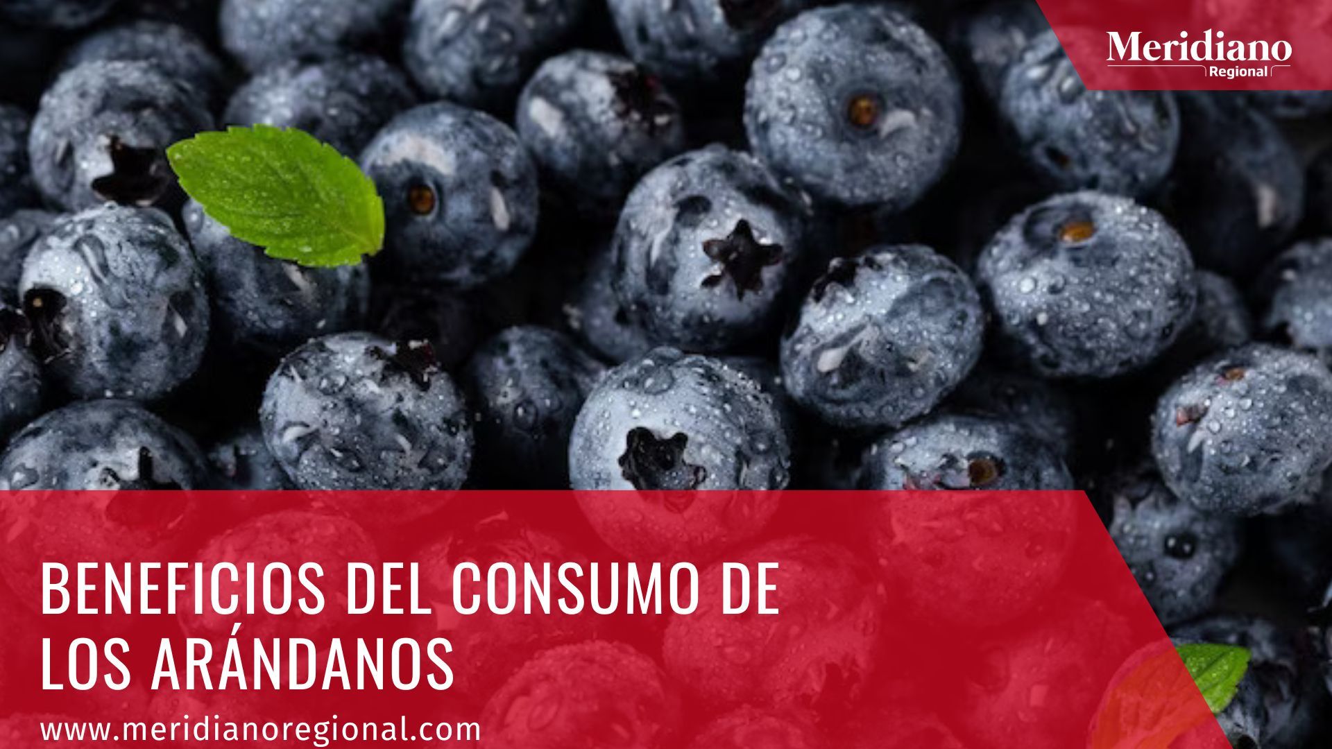 Meridiano regional - Beneficios del consumo de los arándanos – noticias de salud – clínicas de salud – para que sirven los arandanos