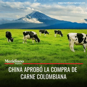 Meridiano regional - El presidente de Fedegán José Félix Lafaurie - China aprobó la compra de carne colombiana - noticias china - noticias colombia