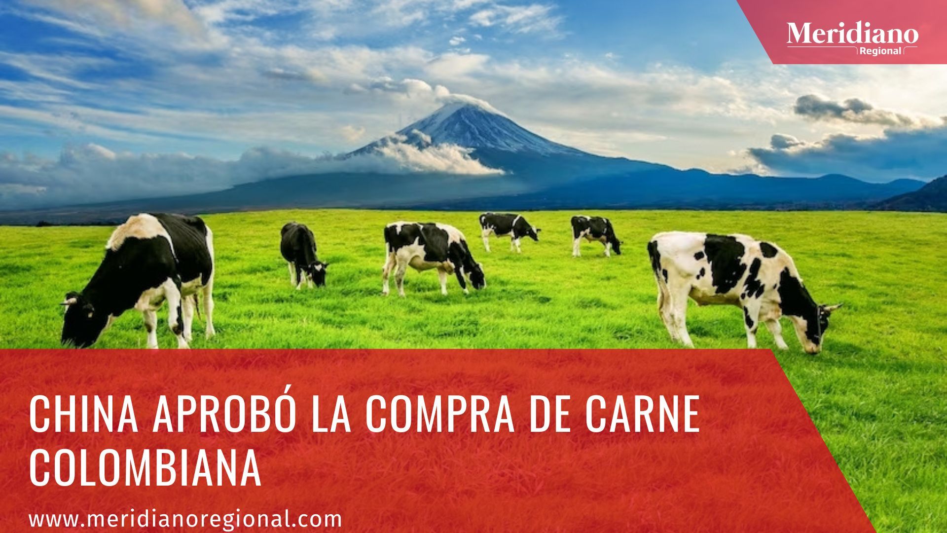 Meridiano regional - El presidente de Fedegán José Félix Lafaurie - China aprobó la compra de carne colombiana - noticias china - noticias colombia