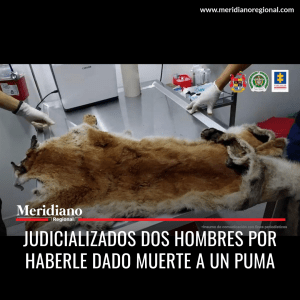 Meridiano-regional-Judicializados-dos-hombres-por-haberle-dado-muerte-a-un-puma-–-noticias-maltrato-animal-Robinson-Ramirez-Florez-Jesus-Antonio-Tapias-Vasquez
