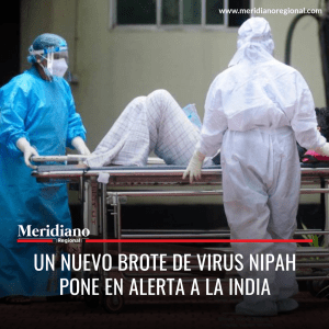 Meridiano regional - Un nuevo brote de virus Nipah pone en alerta a la India - Organización Mundial de la Salud OMS – Nipah - India