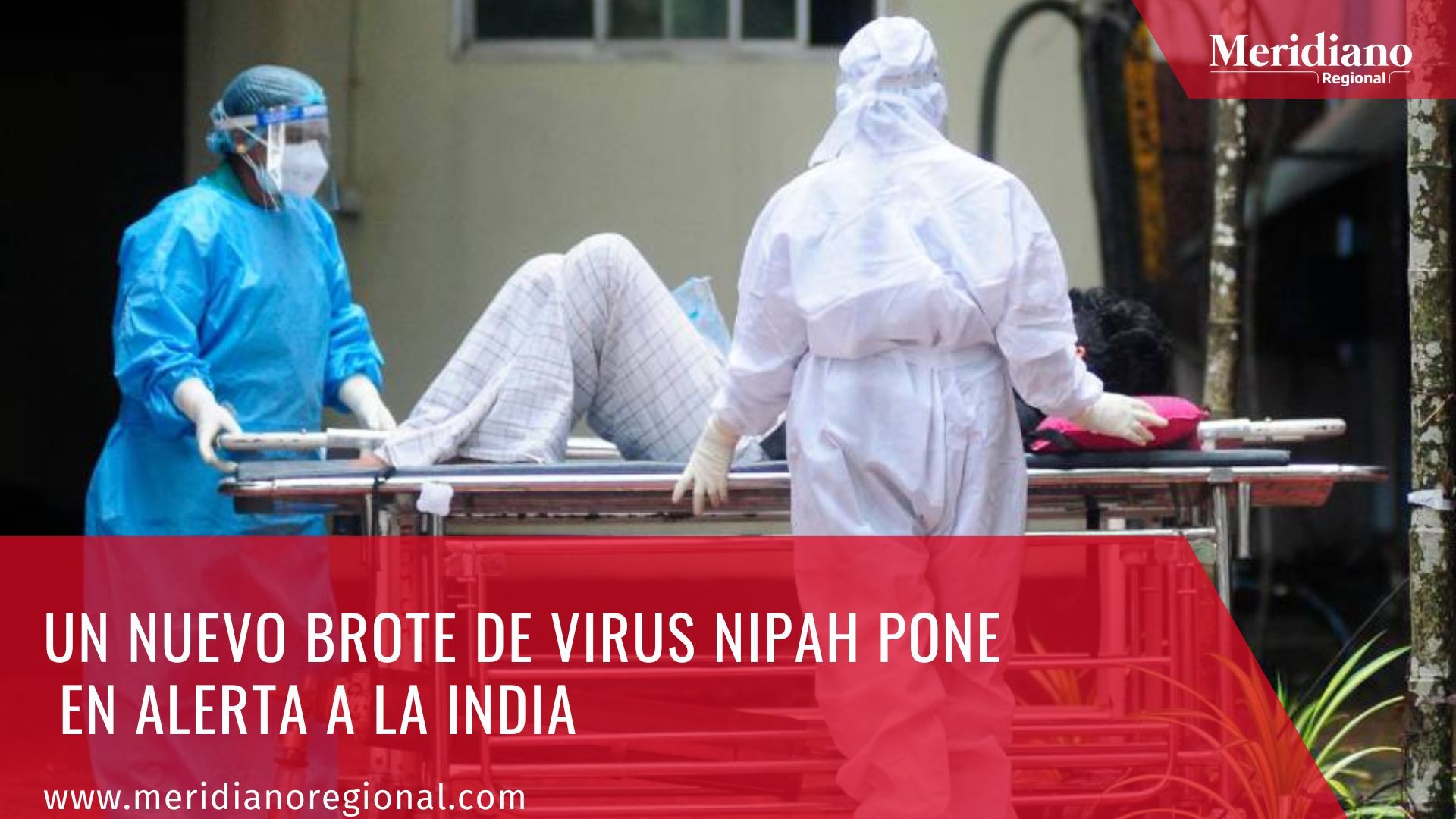 Meridiano regional - Un nuevo brote de virus Nipah pone en alerta a la India - Organización Mundial de la Salud OMS – Nipah - India