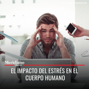 Meridiano regional - El impacto del estrés en el cuerpo humano – noticias salud – el estrés – estrés cronico