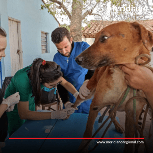 Meridiano regional - en Pereira se inauguró ´Pelulandia´ un hospital público para animales de compañía – noticias Pereira – noticias nacionales (3) - Meridiano Regional Meridiano regional - en Pereira se inauguró ´Pelulandia´ un hospital público para animales de compañía – noticias Pereira – noticias nacionales (3)