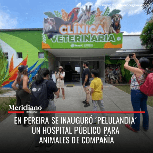 Meridiano regional - en Pereira se inauguró ´Pelulandia´ un hospital público para animales de compañía – noticias Pereira – noticias nacionales - Meridiano Regional Meridiano regional - en Pereira se inauguró ´Pelulandia´ un hospital público para animales de compañía – noticias Pereira – noticias nacionales (3)
