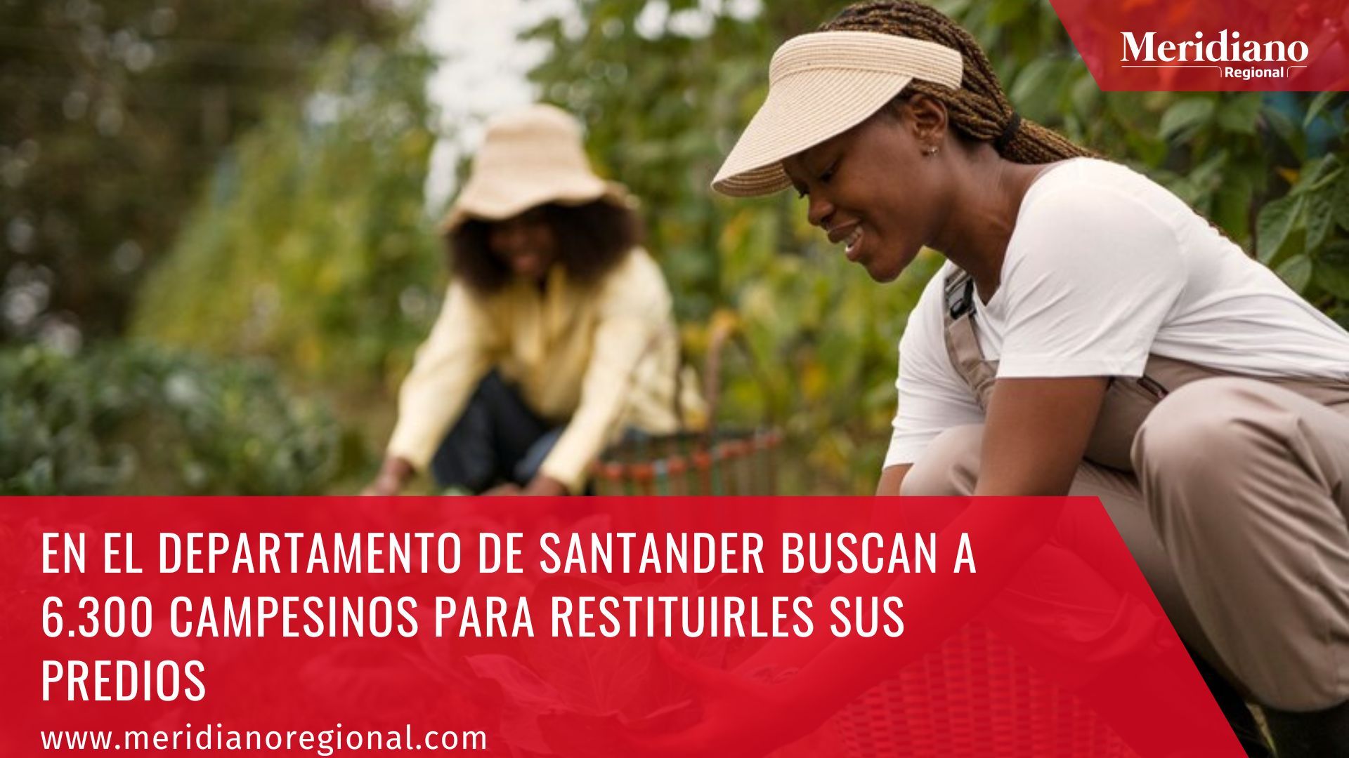 Meridiano regional – noticias cauca – noticias Popayán – lo más leído - En el departamento de Santander buscan a 6.300 campesinos para restituirles sus predios