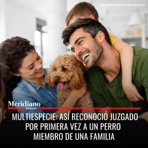 Meridiano regional – noticias nacionales – custodia perro – como pedir la custodia de mi perro - Multiespecie Así reconoció juzgado por primera vez a un perro miembro de una familia