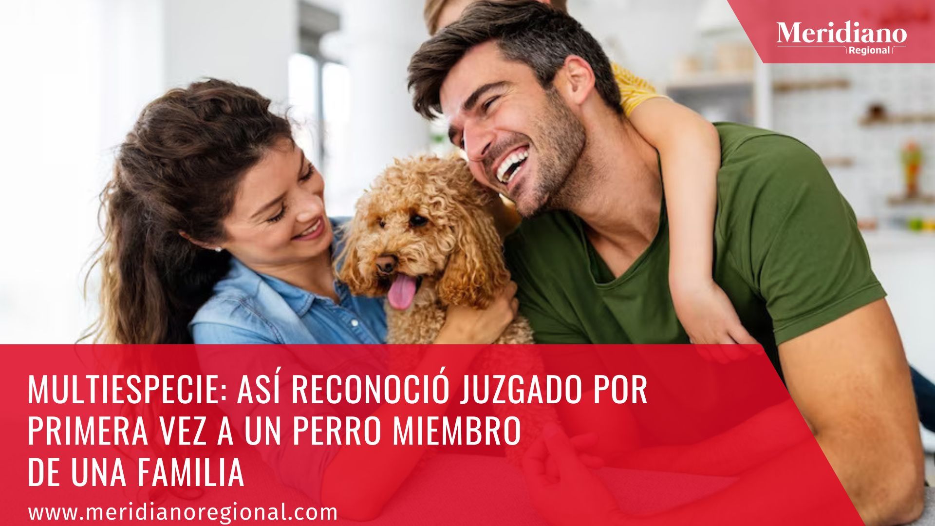  Meridiano regional – noticias nacionales – custodia perro – como pedir la custodia de mi perro - Multiespecie Así reconoció juzgado por primera vez a un perro miembro de una familia