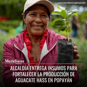 meridiano regional - alcaldía de Popayán - Juan Carlos López Castrillón - alcalde Popayán - noticias ciudad blanca - periodico virtual - sucesos cauca