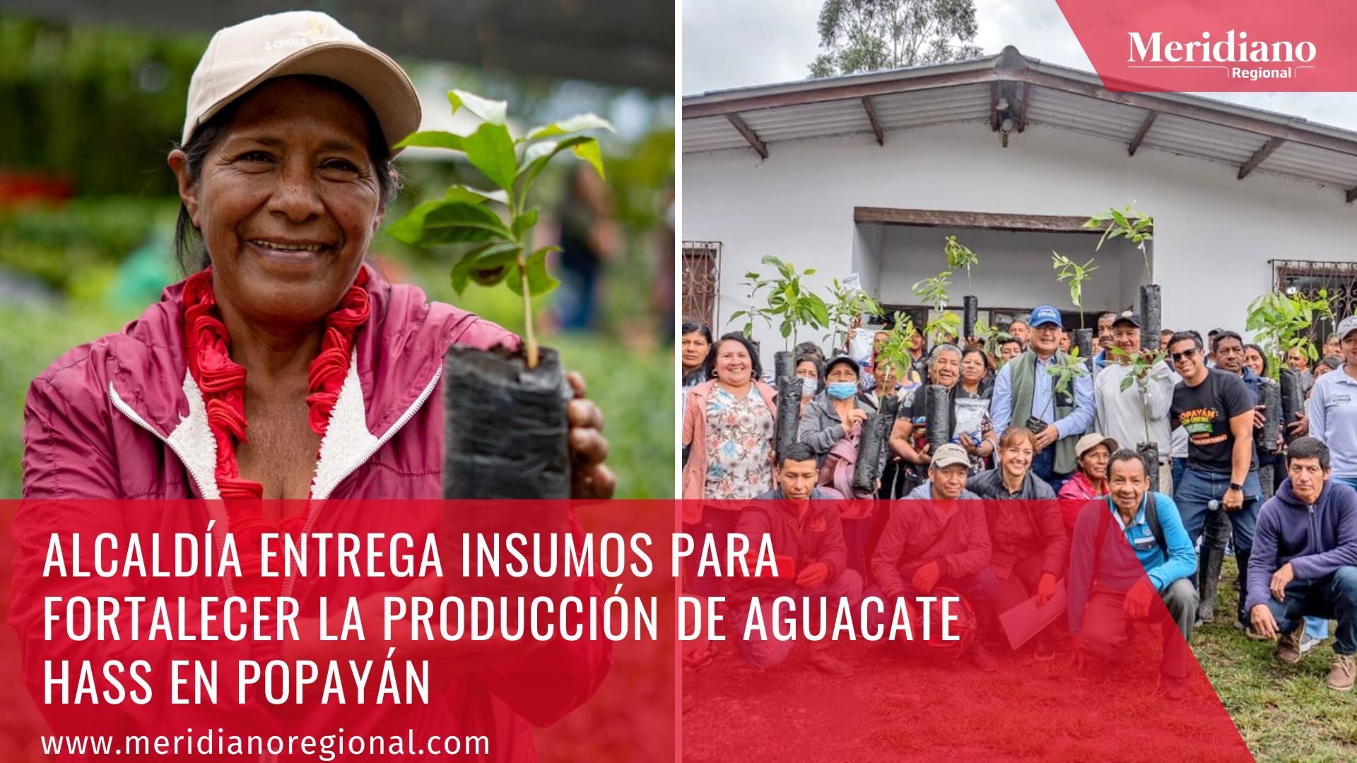 meridiano regional - alcaldía de Popayán - Juan Carlos López Castrillón - alcalde Popayán - noticias ciudad blanca - periodico virtual - sucesos cauca 
