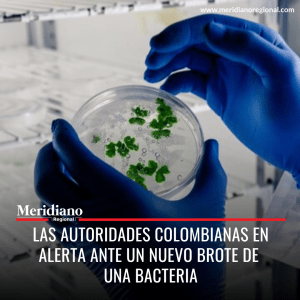 Meridiano regional – noticias cauca -noticias colombianas - Las autoridades Colombianas en alerta ante un nuevo brote de una bacteria