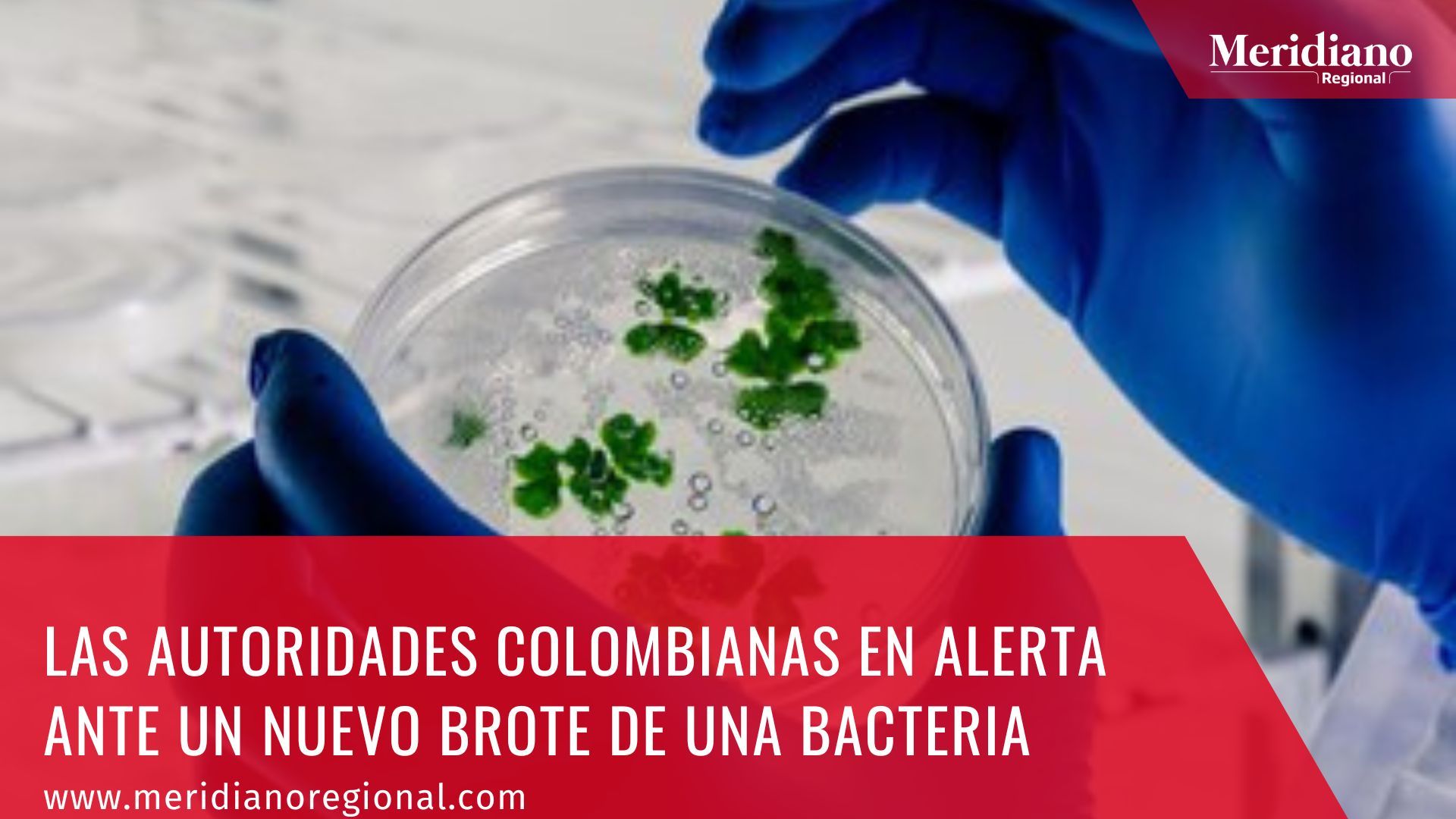 Meridiano regional – noticias cauca -noticias colombianas - Las autoridades Colombianas en alerta ante un nuevo brote de una bacteria