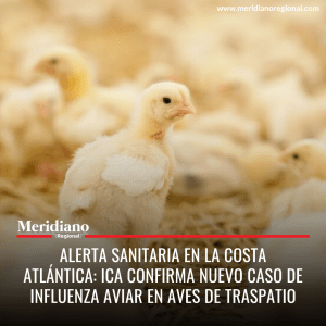 Meridiano regional – noticias cauca – noticias Colombia - Alerta sanitaria en la Costa Atlántica ICA confirma nuevo caso de influenza aviar en aves de traspatio