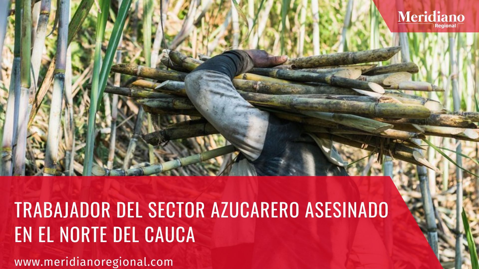 meridiano regional - Trabajador del sector azucarero asesinado en el Norte del Cauca -  Guillermo José Villegas -  ingenio azucarero Incauca - Obando, municipio de Padilla