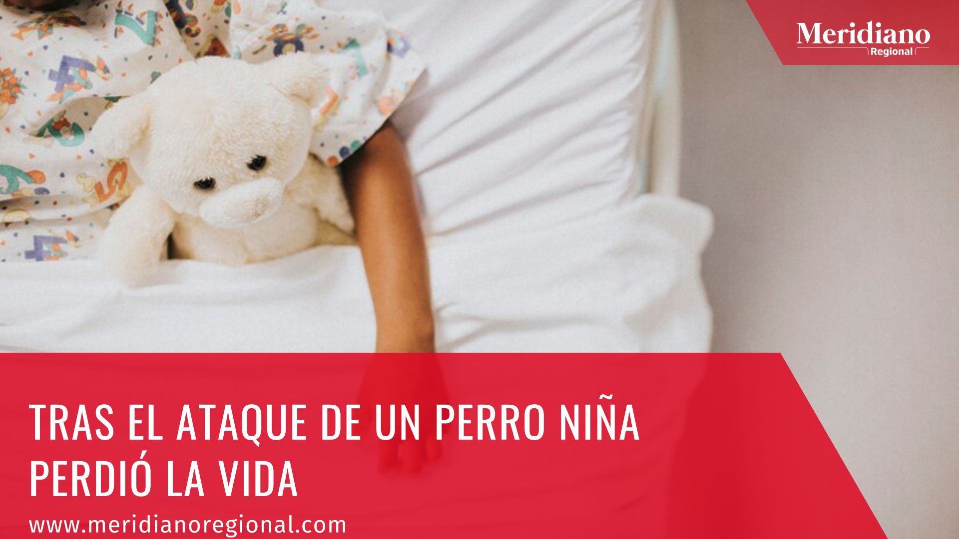 meridiano regional - Tras el ataque de un perro niña perdió la vida - Villamaría, centro sur del departamento de Caldas - Instituto Colombiano de Bienestar Familiar