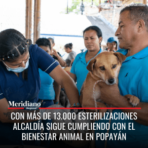 meridiano regional - noticias Popayán - Creo en Popayán - alcalde Juan Carlos López Castrillón - esterilizaciones gratuitas Popayán - Casa de los Abuelos - Meridiano Regional meridiano regional - noticias Popayán - Creo en Popayán - alcalde Juan Carlos López Castrillón - esterilizaciones gratuitas Popayán - Casa de los Abuelos
