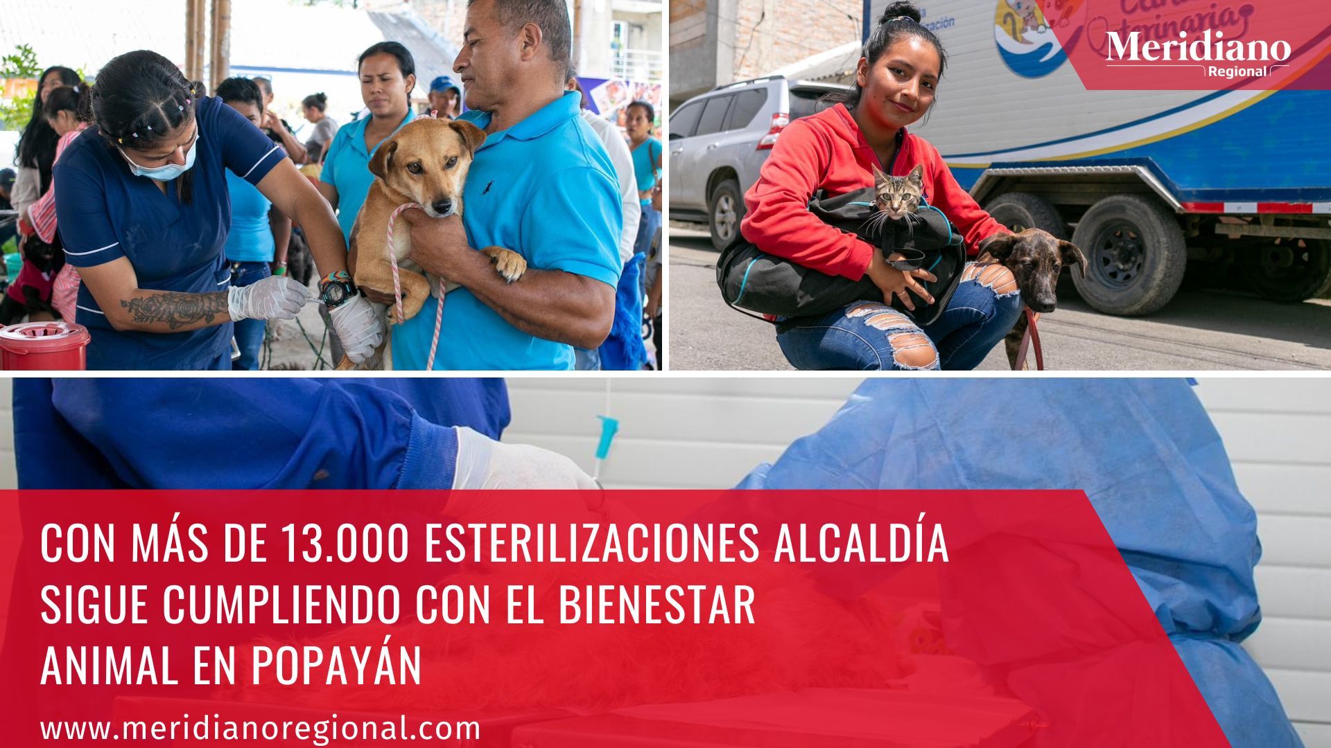meridiano regional - noticias Popayán - Creo en Popayán - alcalde Juan Carlos López Castrillón -  esterilizaciones gratuitas Popayán - Casa de los Abuelos
