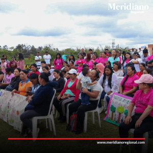 meridiano regional - La Administración Municipal de Popayán -  350.000 árboles - programa "Mi Árbol y Yo" - noticias cauca - noticias colombia - noticias Popayán