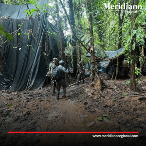 meridiano regional - Fiscalía destruye laboratorio de cocaína en operativo en Tumaco, Nariño - noticias nariño - noticias cauca - noticias Tumaco - Meridiano Regional meridiano regional - Fiscalía destruye laboratorio de cocaína en operativo en Tumaco, Nariño - noticias nariño - noticias cauca - noticias Tumaco