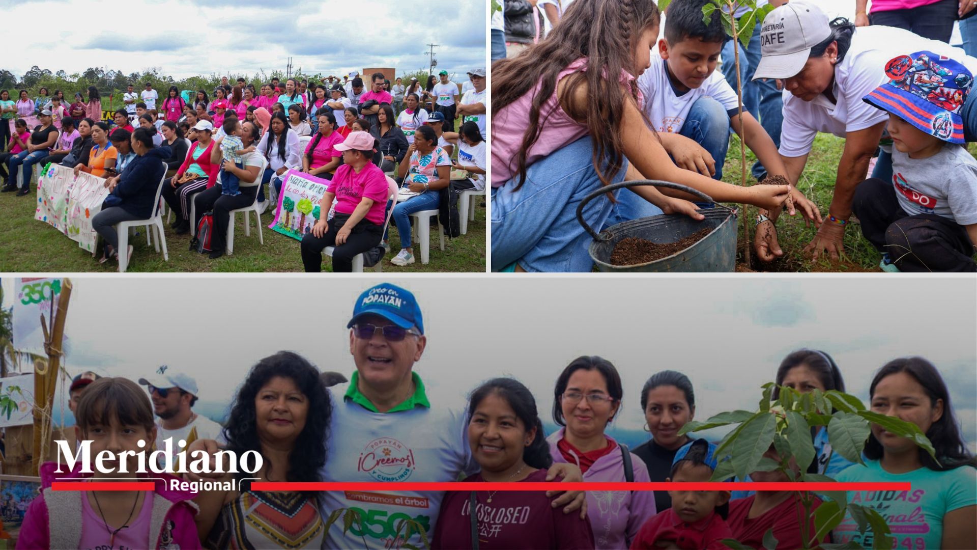 meridiano regional - La Administración Municipal de Popayán - 350.000 árboles - programa "Mi Árbol y Yo" - noticias cauca - noticias colombia - noticias Popayán