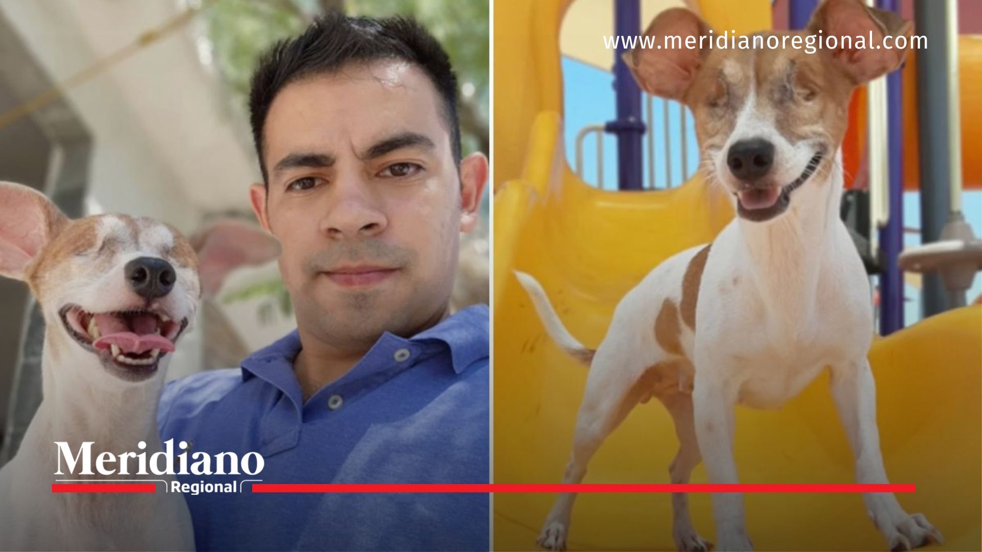 meridiano regional - Emotiva historia: Joven adopta a perrita invidente abandonada y le cambia la vida Tia tok - videos virales 