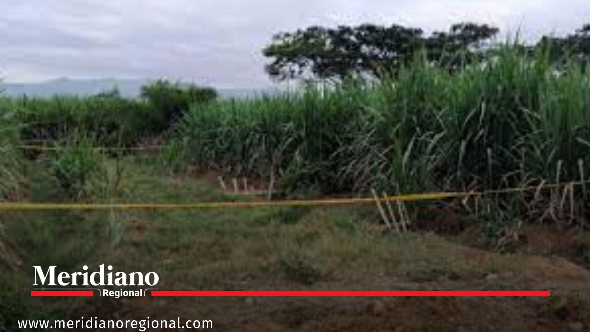 meridiano regional -  Tres asesinatos en el norte del Cauca en menos de 24 horas - departamento del Cauca - Santander de Quilichao - Caloto  - Miranda - norte del cauca