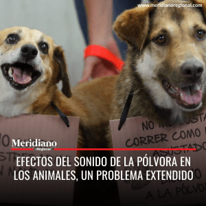 Meridiano - Instagram -11 - Meridiano Regional