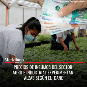 Meridiano regional - Precios de insumos del sector agro e industrial experimentan alzas según el Dane - noticias cauca - noticias Popayán - noticias colombianas - Meridiano Regional Meridiano regional - Precios de insumos del sector agro e industrial experimentan alzas según el Dane - noticias cauca - noticias Popayán - noticias colombianas