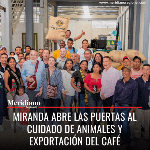 Meridiano regional - noticias cauca - noticias valle - noticias norte del cauca - Miranda abre las puertas al cuidado de animales y exportación del café