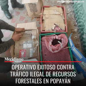 Operativo exitoso contra tráfico ilegal de recursos forestales en Popayán - meridiano regional - noticias cauca - noticias Popayán - noticias colombia - Meridiano Regional Operativo exitoso contra tráfico ilegal de recursos forestales en Popayán - meridiano regional - noticias cauca - noticias Popayán - noticias colombia