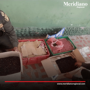 Operativo exitoso contra tráfico ilegal de recursos forestales en Popayán - meridiano regional - noticias cauca - noticias Popayán - noticias colombia - Meridiano Regional Operativo exitoso contra tráfico ilegal de recursos forestales en Popayán - meridiano regional - noticias cauca - noticias Popayán - noticias colombia