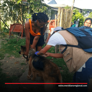 Meridiano regional - noticias cauca - noticias valle - noticias norte del cauca - Miranda abre las puertas al cuidado de animales y exportación del café