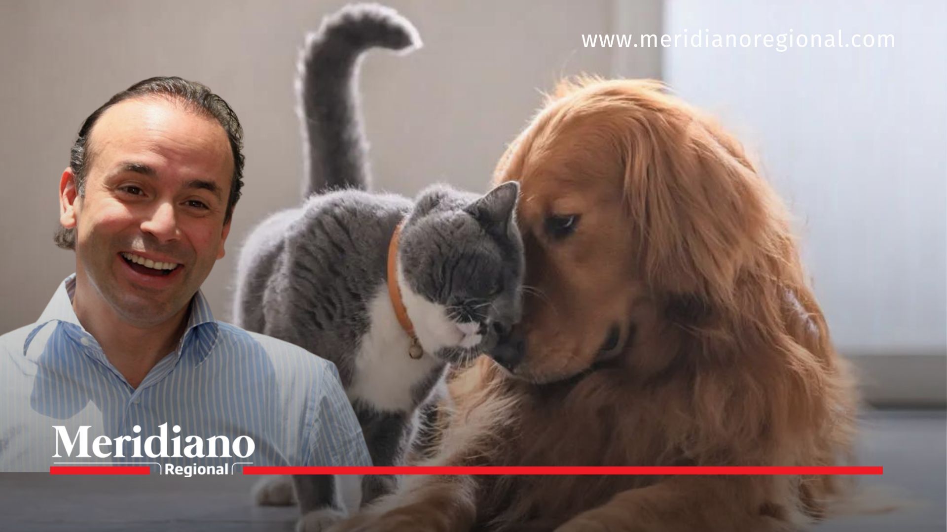 meridiano regional - El Alcalde de Cali, Alejandro Eder, comprometido con el bienestar animal - noticias Cali - noticias valle - adopción animales Cali - como adoptar en Cali - jamundi - Santander de Quilichao