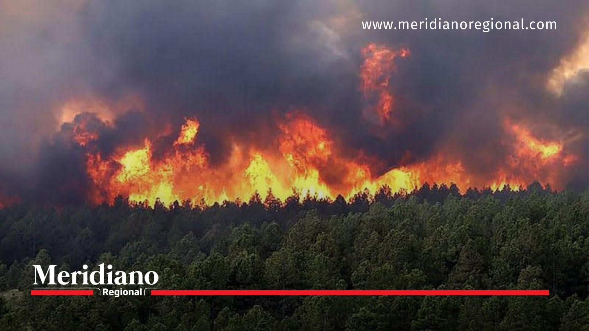 Colombia es declarado desastre natural por múltiples incendios - meridiano regional - noticias cauca - noticias colombia - medio ambiente - forestal colombia