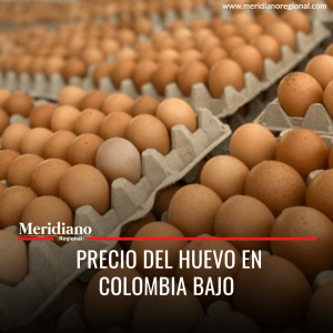 Meridiano regional - noticias cauca - noticias colombia - noticias Popayán - Precio del huevo en Colombia bajo
