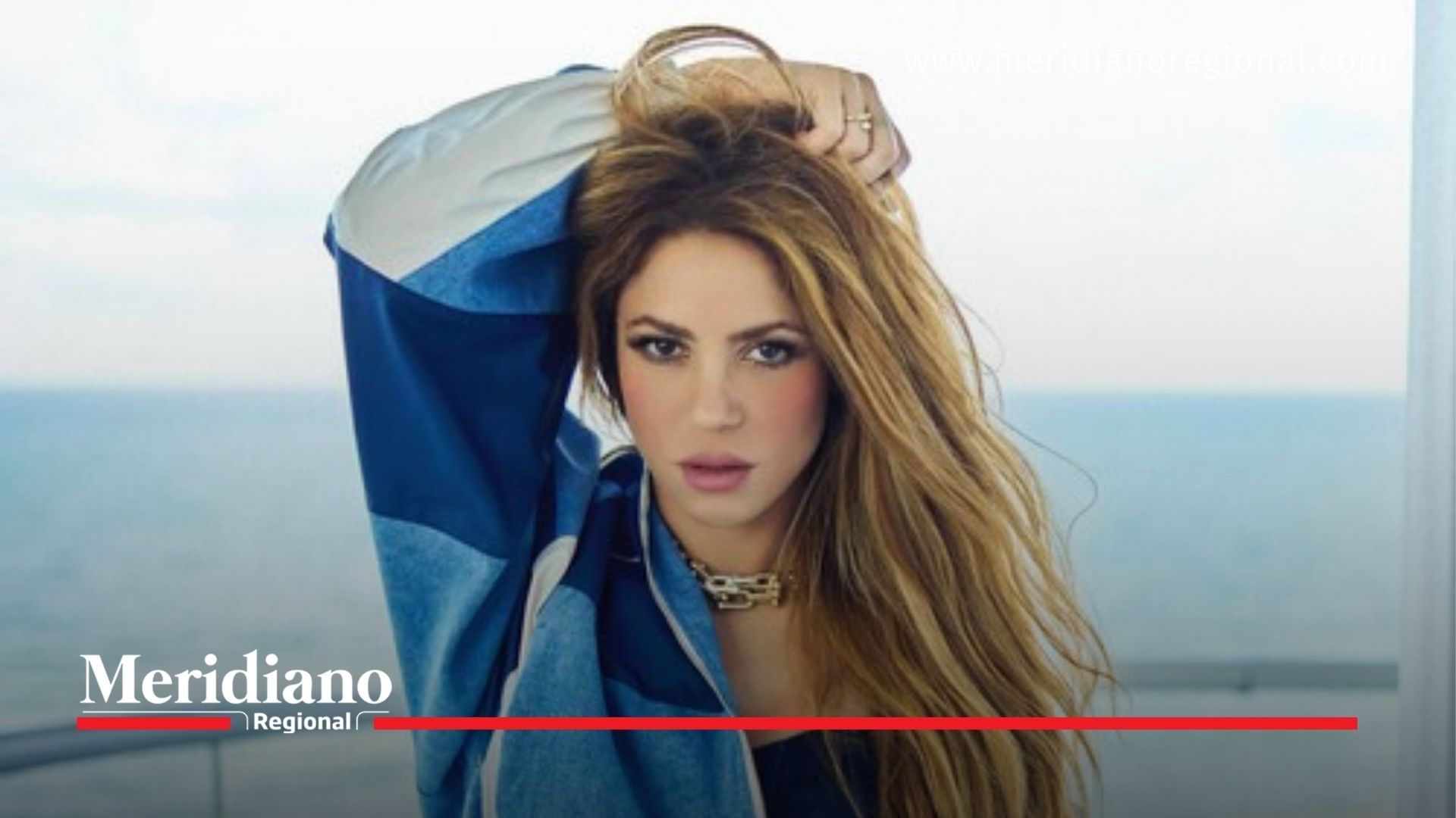 Shakira, la reina indiscutible de Facebook - meridiano regional - noticias cauca - noticias colombia - noticias internacionales 