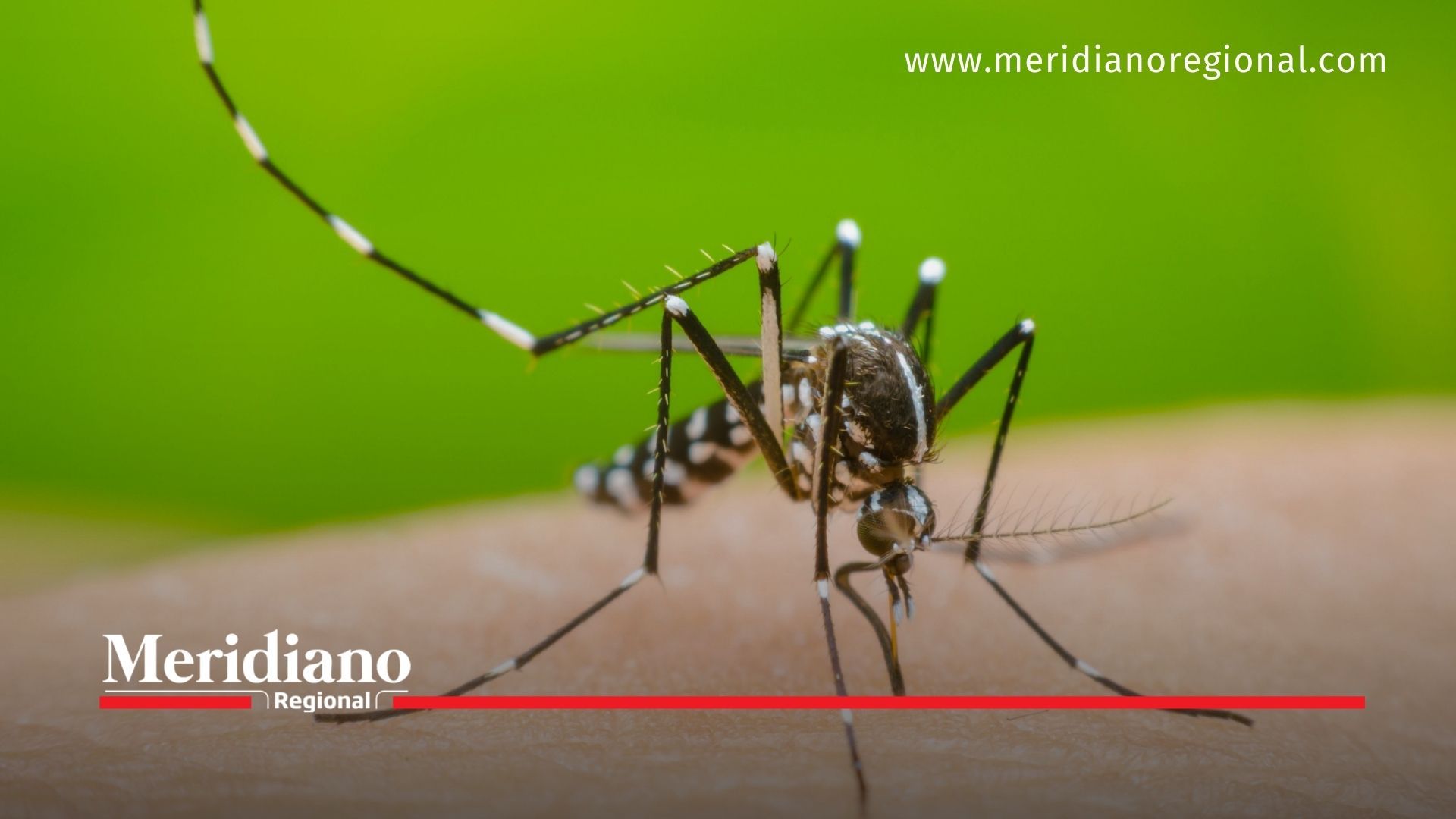 Alerta por casos de dengue en barrios del sur de Popayán