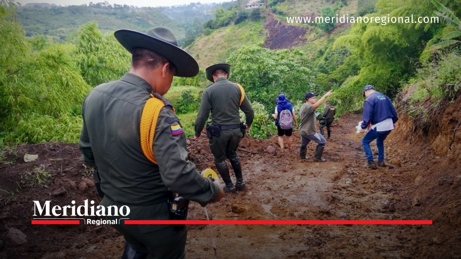 Capturados “viviendistas” que talaron árboles en una zona protegida en Popayán