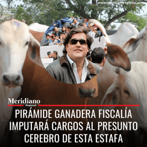 Pirámide ganadera Fiscalía imputará cargos al presunto cerebro de esta estafa - meridiano regional - noticias cauca - noticias colombianas - noticias valle - noticias cali
