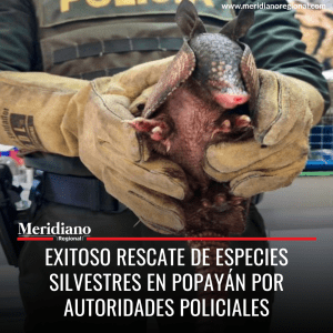 meridiano regional - Exitoso rescate de especies silvestres en Popayán por autoridades Policiales - noticias cauca - noticias Popayán - noticias colombia - Protección Ambiental de la Policía - Vereda la Regoya