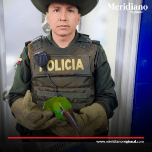 meridiano regional - Exitoso rescate de especies silvestres en Popayán por autoridades Policiales - noticias cauca - noticias Popayán - noticias colombia - Protección Ambiental de la Policía - Vereda la Regoya