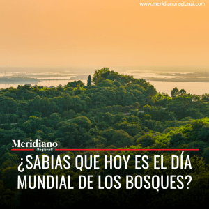 meridiano regional - día mundial de los Bosques - noticias internacionales - noticias cauca - noticias valle - ecosistemas - Restauración de la Naturaleza - medio ambiente - Meridiano Regional meridiano regional - día mundial de los Bosques - noticias internacionales - noticias cauca - noticias valle - ecosistemas - Restauración de la Naturaleza - medio ambiente