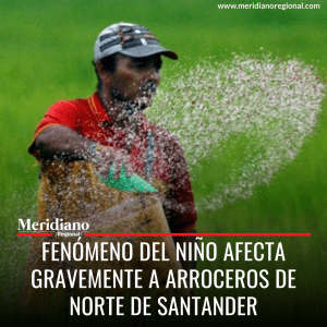 meridiano regional -Fenómeno del Niño  -  Norte de Santander - Libardo Cuberos - Fedearroz - Zulia - Pamplonita - noticias cauca - noticias Popayán - noticias colombia