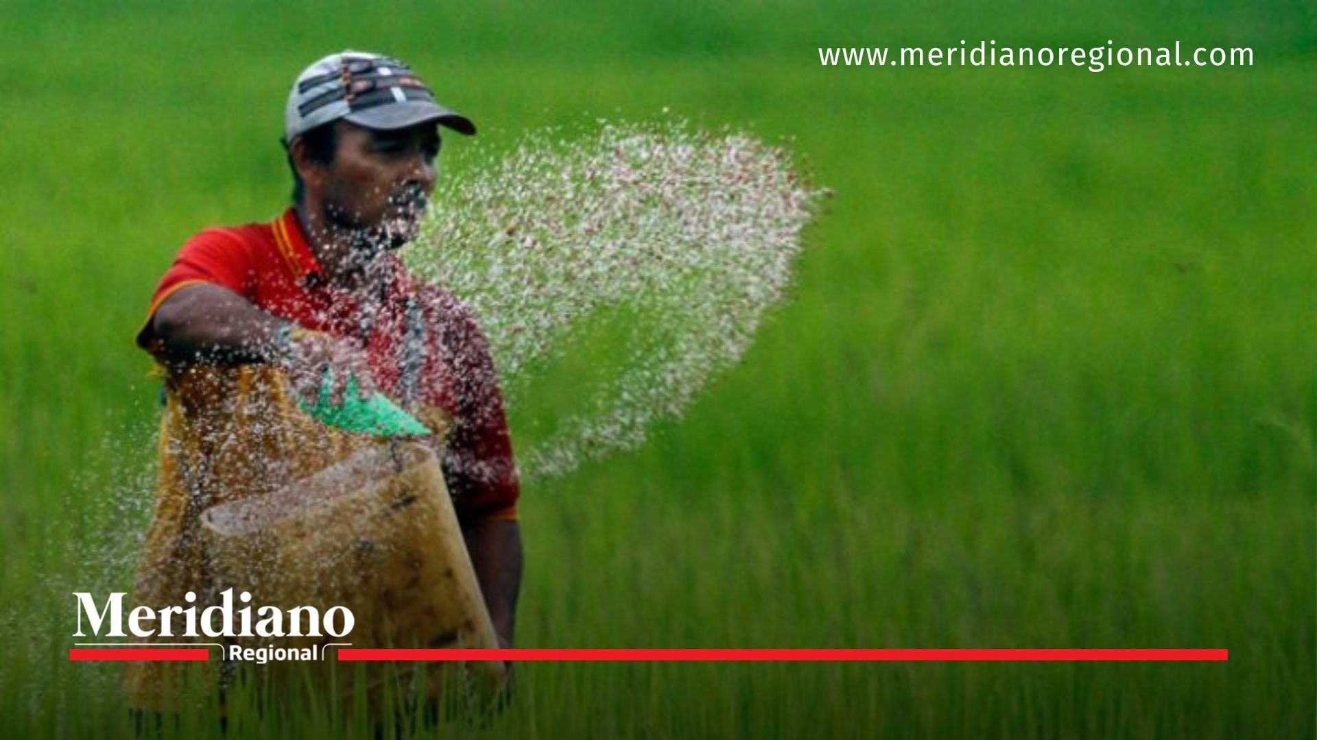 meridiano regional -Fenómeno del Niño  -  Norte de Santander - Libardo Cuberos - Fedearroz - Zulia - Pamplonita - noticias cauca - noticias Popayán - noticias colombia