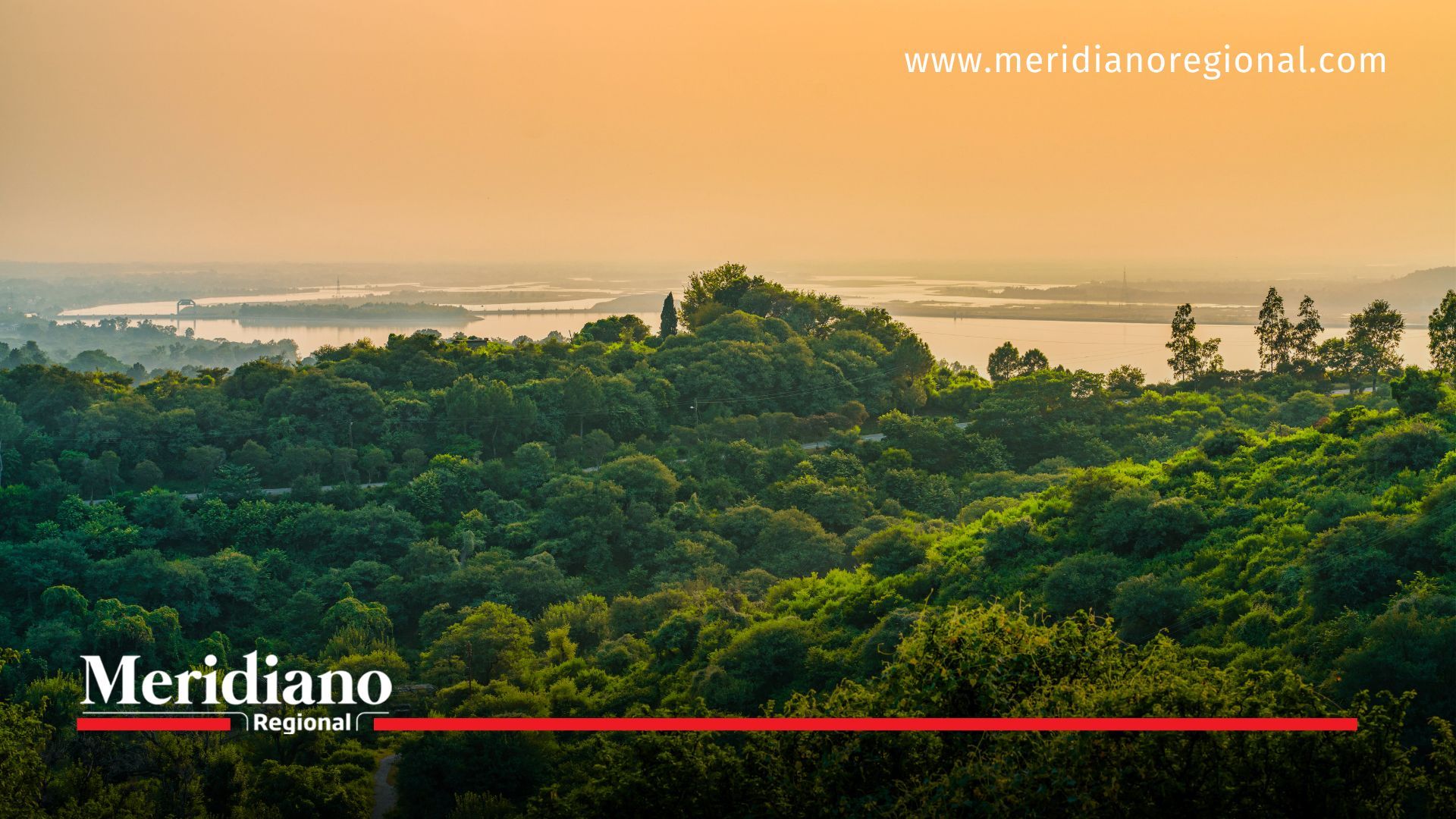 meridiano regional - día mundial de los Bosques - noticias internacionales - noticias cauca - noticias valle - ecosistemas - Restauración de la Naturaleza - medio ambiente